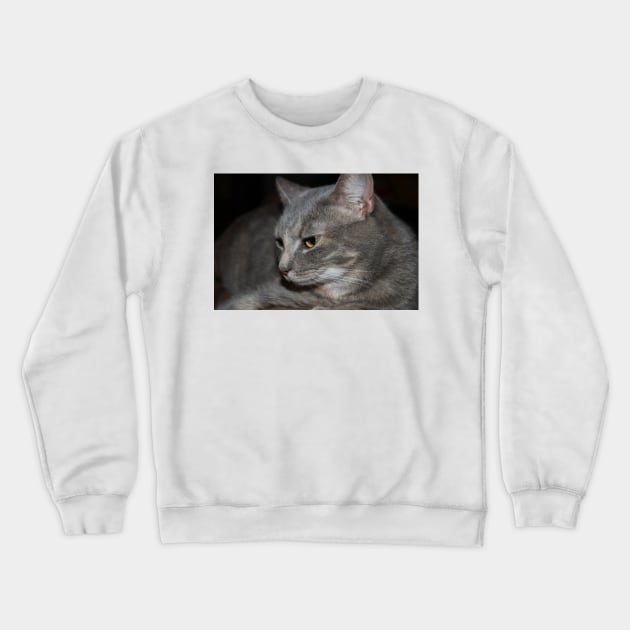 Hattie Relaxing Crewneck Sweatshirt by Cynthia48